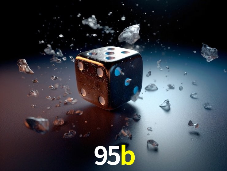 95b.com